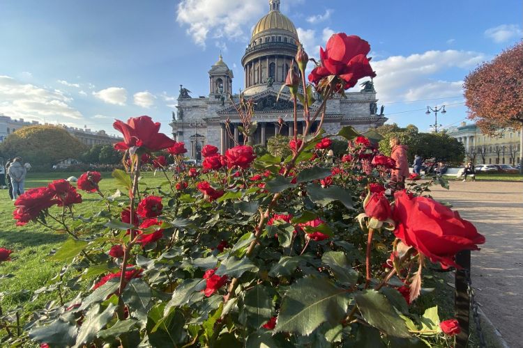 Тур «Невская Коллекция» с понедельника, 5 дней