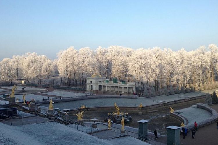 Тур «Новогодний Классический Петербург»