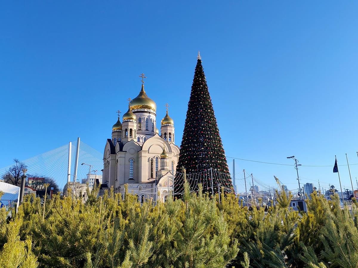 Тур "Зимний Владивосток: лучшее за 4 дня"