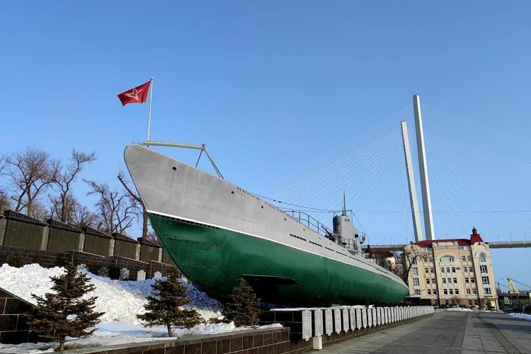 Тур "С новым годом, кошка!"