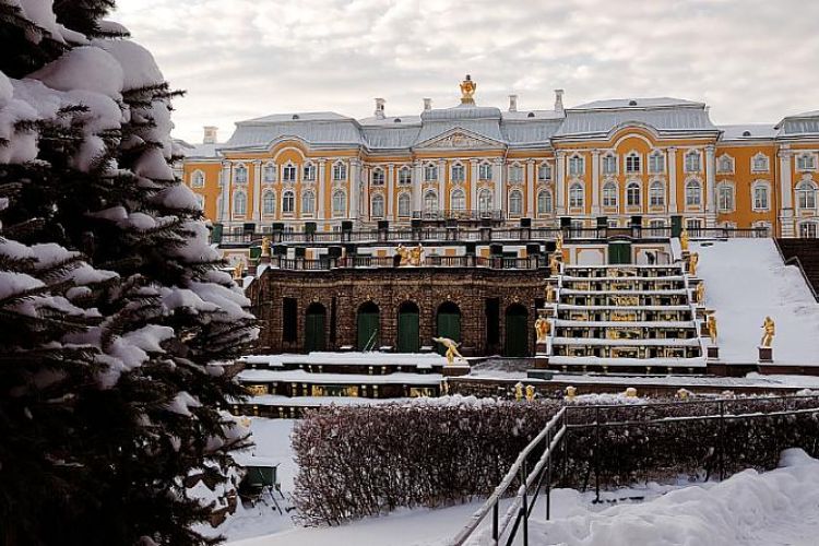 Тур «Новогодний Классический Петербург»