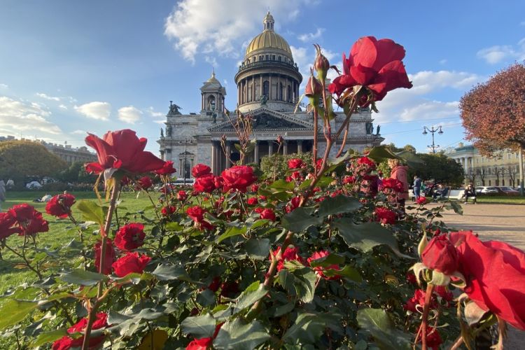 Тур «Петербургская Панорама», 8 дней